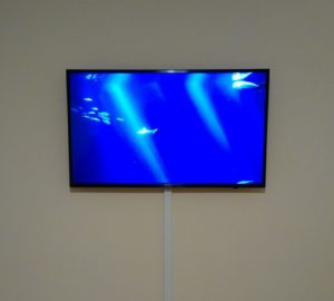 TV installation Indianapolis